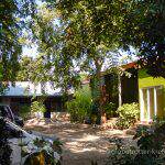 Indonesien Reise 2016, Timor, Alor, Flores